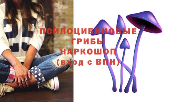 наркотики Кукмор