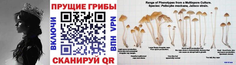 Псилоцибиновые грибы ЛСД Северодвинск