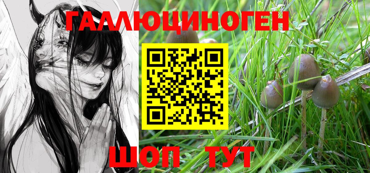 Северодвинск  Псилоцибиновые грибы Magic Shrooms  Псилоцибиновые грибы Psilocybe  Вход с VPN 
