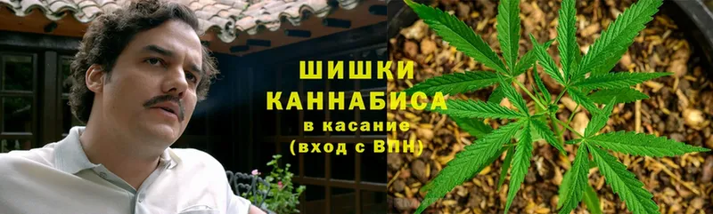 блэк спрут ССЫЛКА  Северодвинск  Шишки марихуана SATIVA & INDICA 